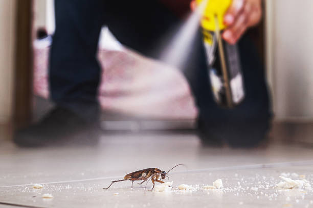 Best Best Pest Control Companies  in Flatwoods, KY